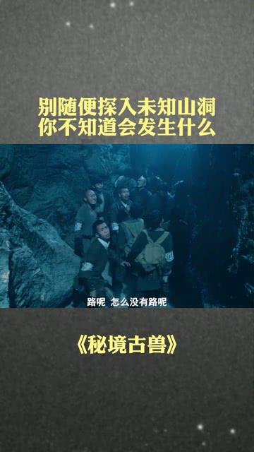 时尚POLO衫