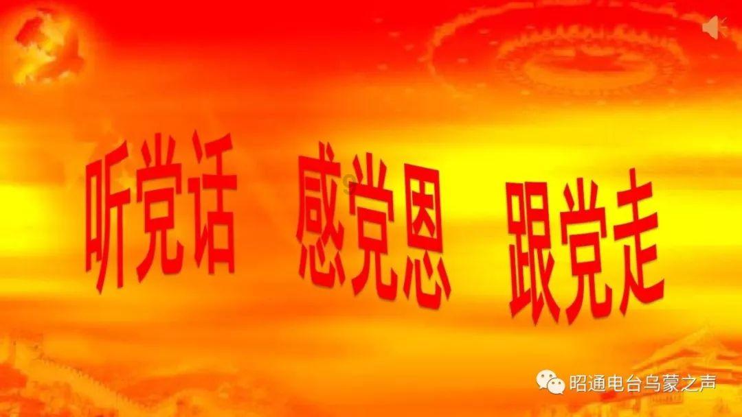 拯救蝙蝠家族